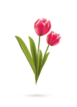Tulpen Strauß
