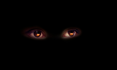 The hidden animal in the dark, Universe eyes on a black background, the mysterious stranger