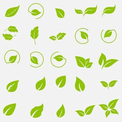 Vector collection with green leaves in flat style for icons and graphic design - obrazy, fototapety, plakaty