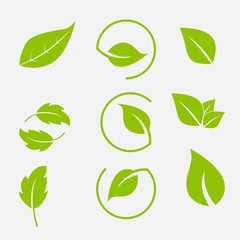 Vector collection with green leaves in flat style for icons and graphic design