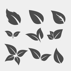 Fototapeta premium Set of black Tree Leaf flat icon