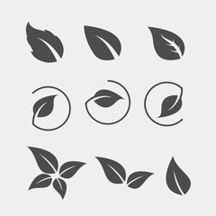 Fototapeta na wymiar Set of black Tree Leaf flat icon