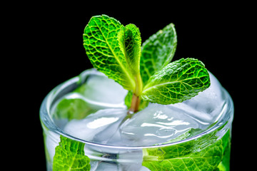 fresh water with mint and ice black background
