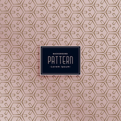 Fototapeta premium modern hexagonal abstract pattern background