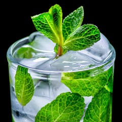 fresh water with mint and ice black background
