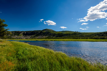 Madison River, Yellowstone National Park, Wyoming