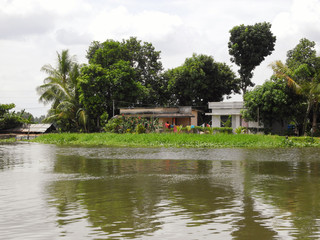 Obraz premium Backwaters in Kerala Kochi