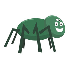 Funny spider insects