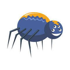 Funny spider insects