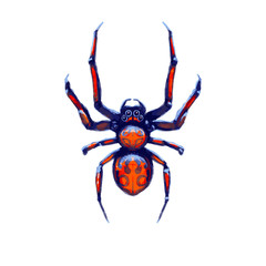 Exotic danger spider with red spots, cartoon arachnid on white