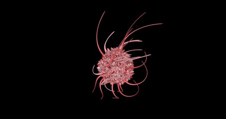 Immune Cell T-cell immune system concept immunotherapy treatment in cancer metastasis 