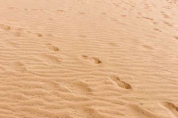 Sandy beach for background. Sand on the beach