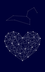 Starry sky. Zodiac. Leo