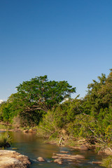 African landscape in the Kruger National Park, South Africa