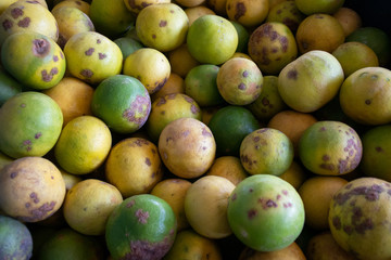 lime fungal plant diseases post harvest agriculture product