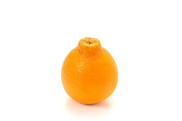 しらぬひオレンジ