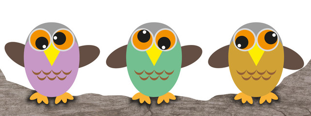 three crazy owl children on a branch