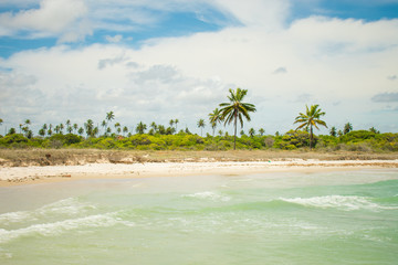 A view of the beautiful Praia do Sossego (Sossego beach) on Itamaraca island (Pernambuco, Brazil)