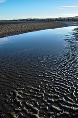 Fototapeta premium Beach - Dublin - Ireland