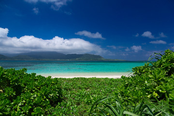 南の島ののどかな海の風景