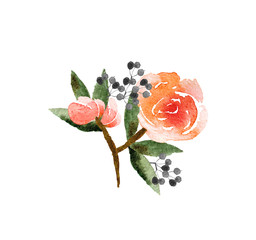 Watercolor flower bouquet