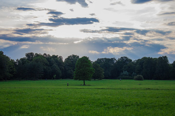 golf course on a sunny day