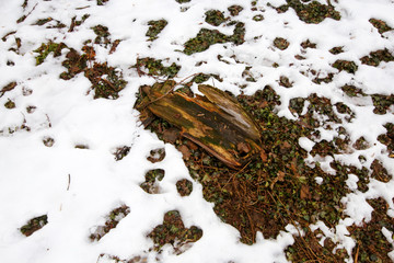 Woodland and forest ground covered with layer of snow. close up. Part of winter snow in field....