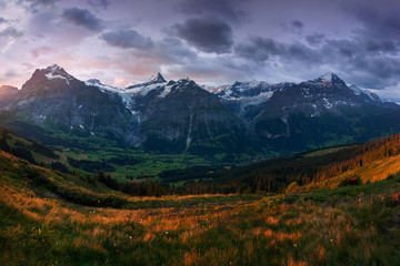 Obraz premium Wonderful scene of the snow rocky mountains. Picturesque morning above village in Swiss Alps, Grindelwald, Bernese oberland, Europe. Nice image of wallpaper. Explore the world´s beauty. Eiger, Monch