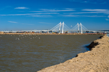 New cable-stayed bridge across the Neva. White large modern bridge on the seafront. St. Petersburg....
