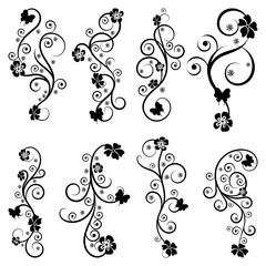 Swirl set of vector graphic elements for design, postcard, menu, wedding invitation, romantic style. Floral set of curls and scrolls. Vector illustration dividers and borders. 