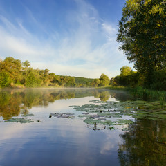 Morning on the river