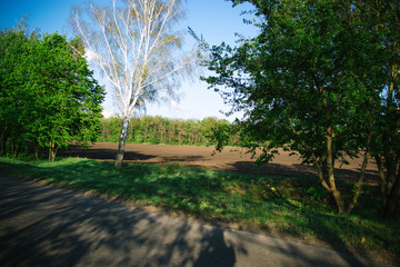 Summer sunny evening outside the city. The concept of travel