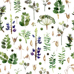 Botany seamless pattern