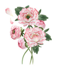 Bouquet of peonies