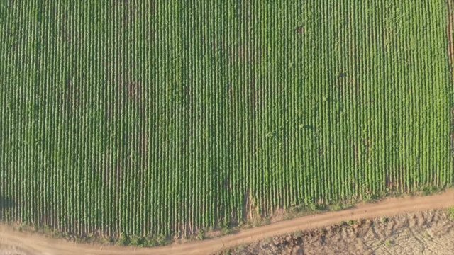 ow aerial flyover of lush green fields with field machines, Israel