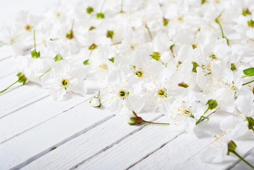 cherry blossom spring background, white wood
