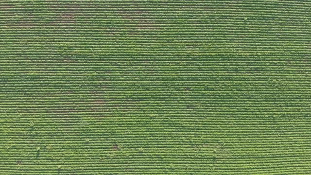 ow aerial flyover of lush green fields with field machines, Israel