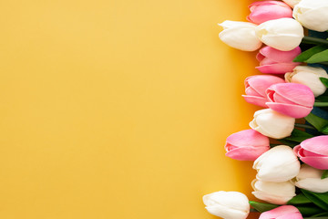 Tulipanes colocados a la derecha del cuadro sobre fondo amarillo con espacio para texto a la derecha