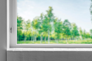 Windowsill with a view to a green garden