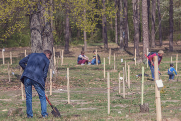 Earth day. Tree planting. seedling by volunteer. Struggle against trash litter consumerism. Recycled product concept. Reusage.