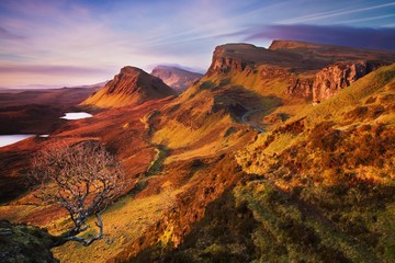 Tree in Quiraing mountain range. View from Quiraing mountains into valleys. Amazing hilly landscape of Isle of Skye, Scotland, UK. Sunny autumn day with clear sky. Autumn colors landscape background.