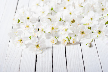 cherry blossom spring background, white wood