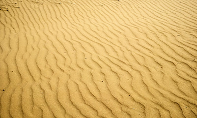 Beautiful patterns of sand dunes, formed by the wind on the sandy coast
