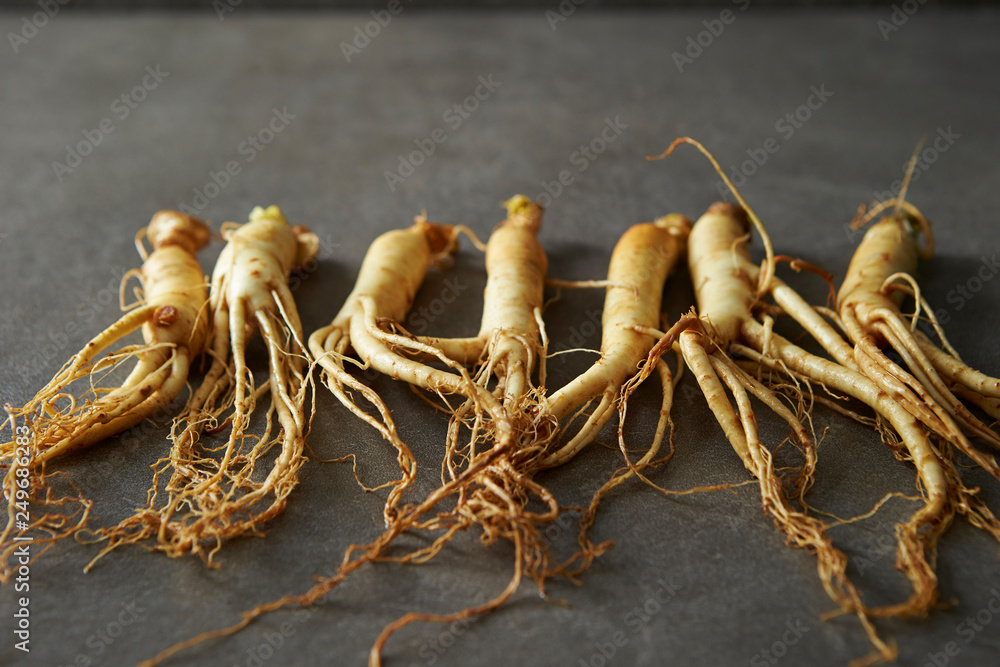 Sticker Korean ginseng root 