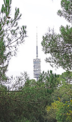 Fototapeta premium Torre de telecomunicaciones en el Parc Natural de Collserola, Barcelona, Catalunya, España