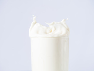 Milk splash on white background,