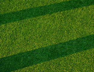 grass field background, green grass, green background