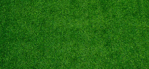 Foto op Aluminium grasveld achtergrond, groen gras, groene achtergrond © waranyu