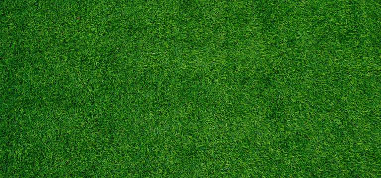 grass field background, green grass, green background © waranyu