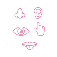 Set of icons of the five human senses.
